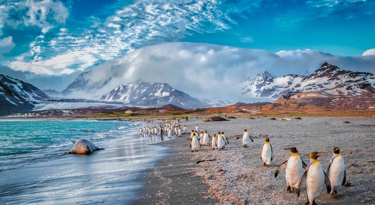 Antarctica, Patagonia and Chilean Fjords Expedition