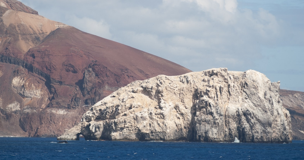 Atlantic Odyssey Including Antarctic Peninsula to Cape Verde