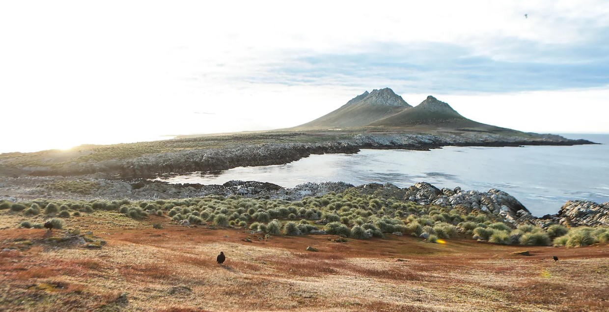 Journey to Austral Lands and Valdes Peninsula – Antarctica, South Georgia & Falklands Luxury Cruise