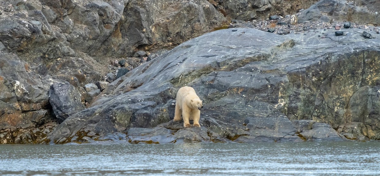 Circumnavigating Svalbard – The Ultimate 16 Day Expedition