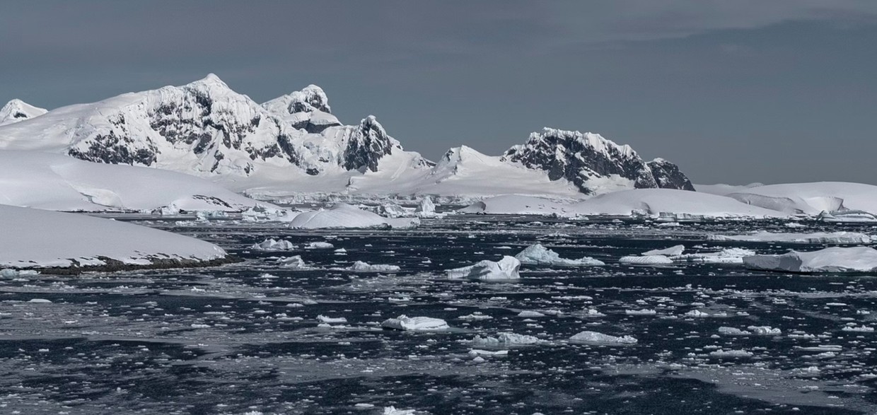 Epic Falkland Islands, South Georgia & Antarctica Expedition