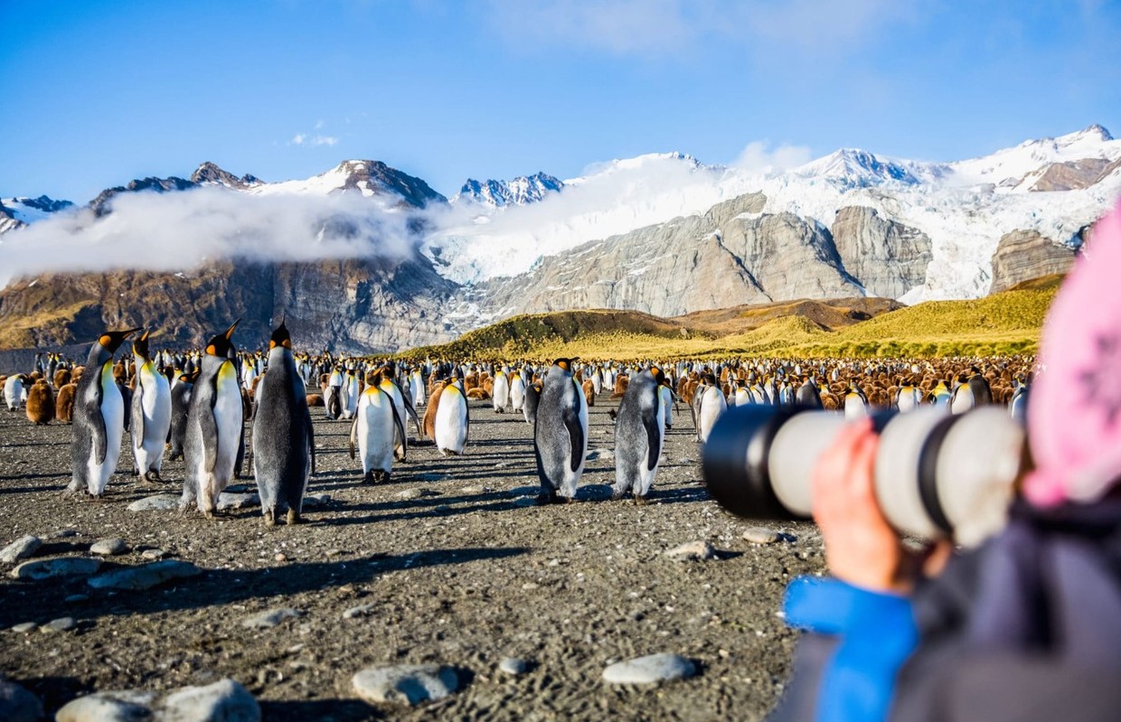 Falklands, South Georgia & Antarctic Peninsula 22 Day Expedition