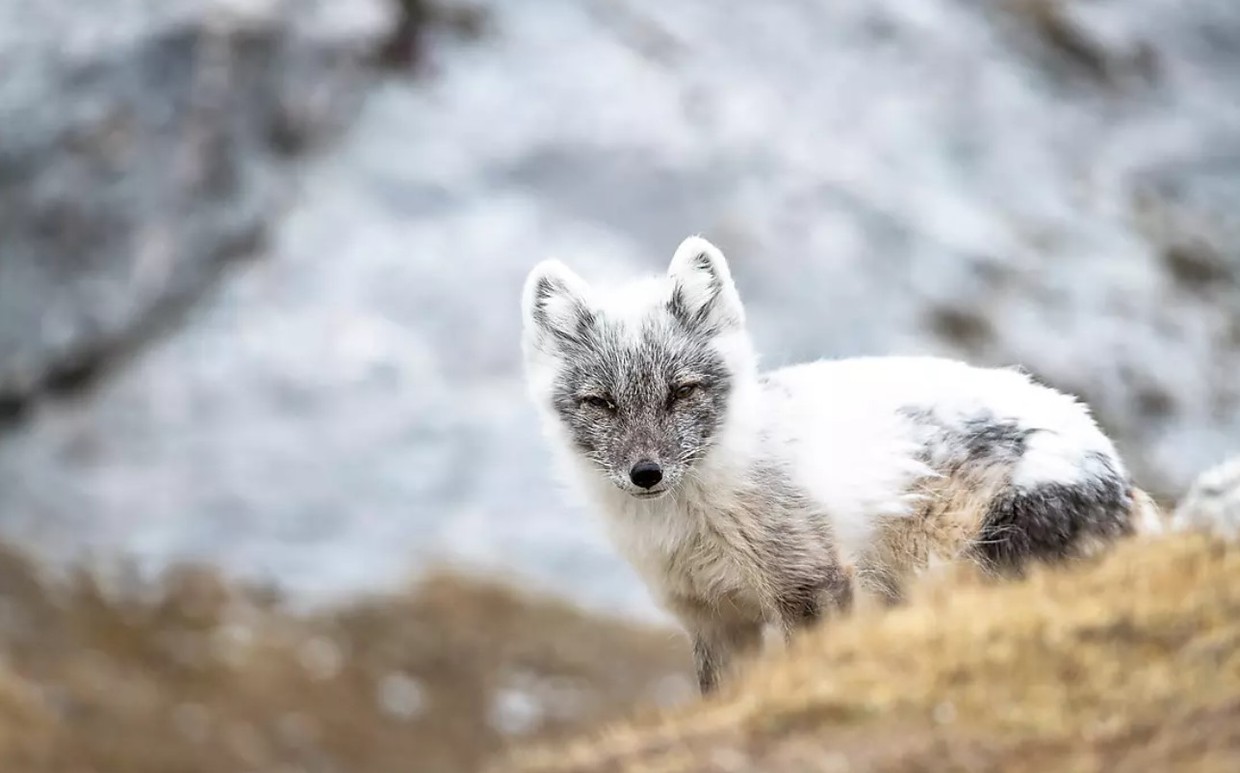 Fjords and Glaciers of Spitsbergen – Luxury Adventure Expedition