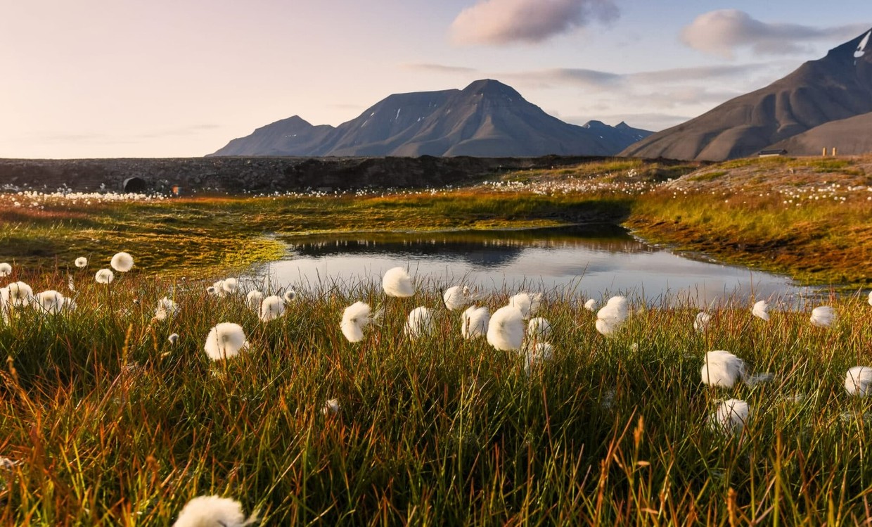 Arctic Golden Autumn & Northern Lights Expedition Cruise