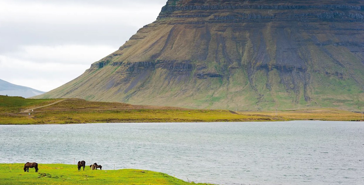 Icelandic Nature and Traditions – Luxury Circumnavigation Cruise