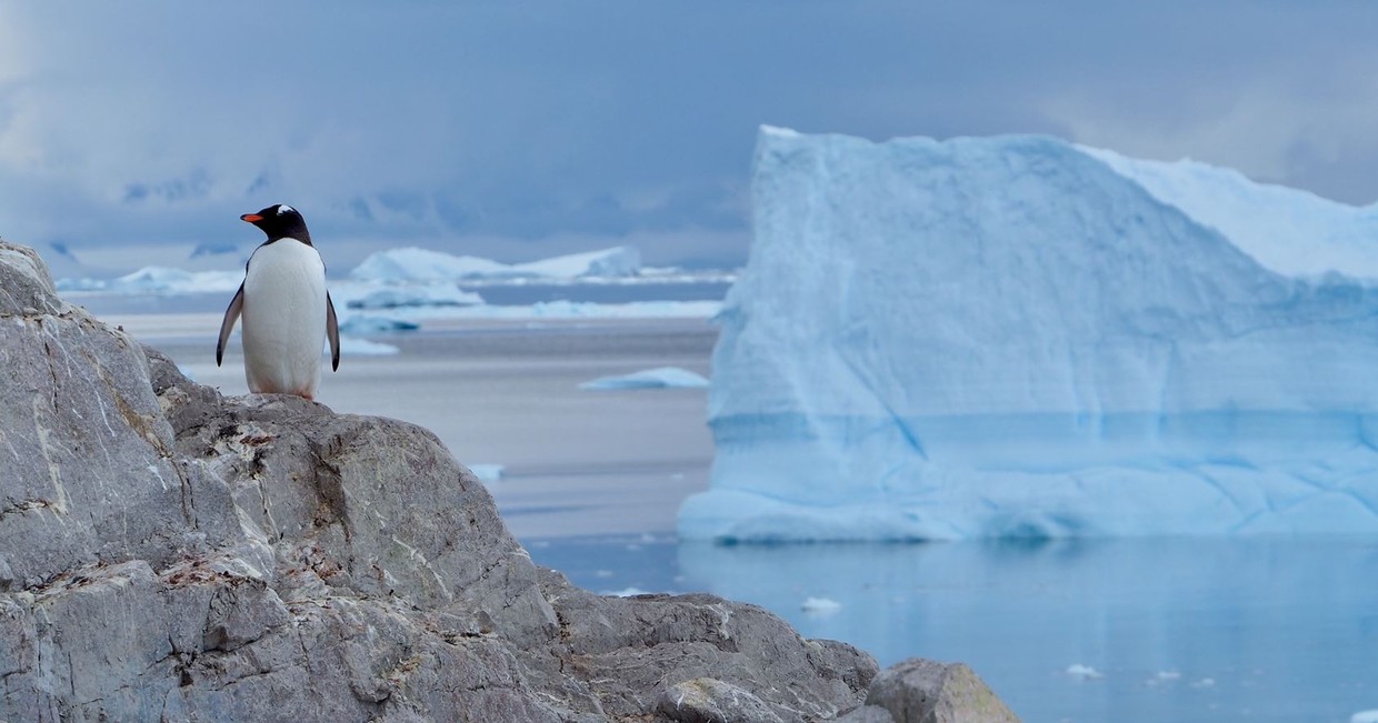 Realm of Penguins & Icebergs – Antarctic Peninsula Small Ship Cruise