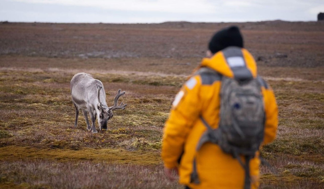 Spitsbergen Highlights – Journey into the Arctic Wilderness