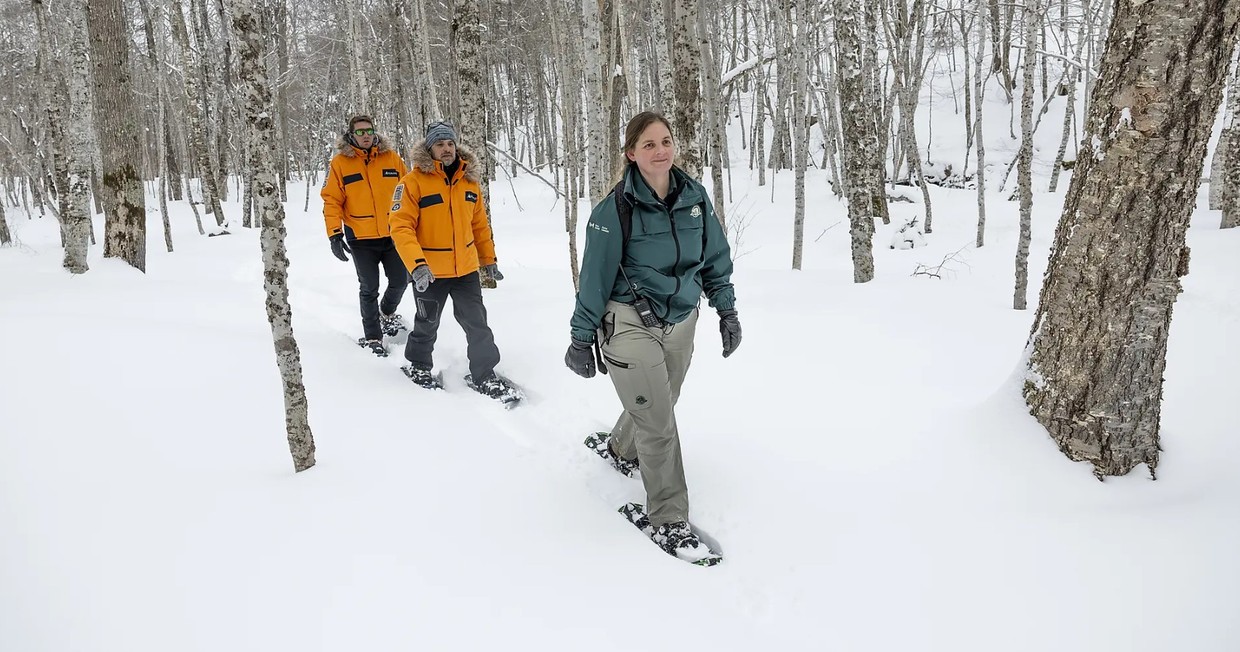 From the St Lawrence to Greenland, the Last Moments of Winter