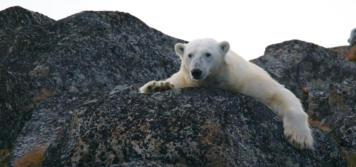 Svalbard Circumnavigation – The Ultimate Bucket List Adventure