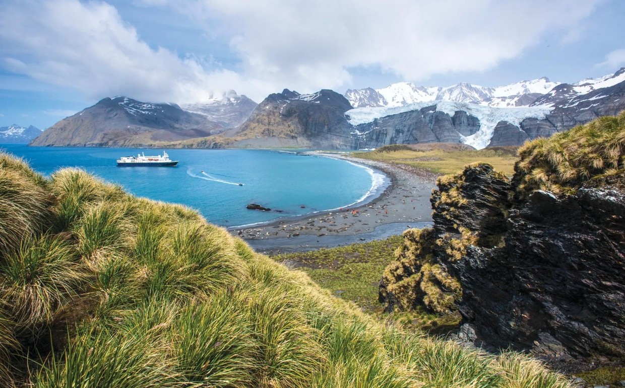 Wild Coasts of Argentina, South Georgia, and the Falklands Expedition